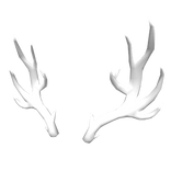 Antlers of Light