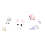 Assorted Spring Decora Clips