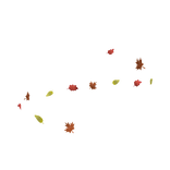 🍁 Autumn Leaves Swirl (Top) 🍁