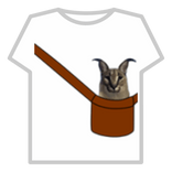 Baby Floppa In A Bag