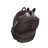 Backpack with Wide Raccoon