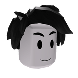 Backwards Hair Black (1.0 Blocky)
