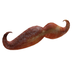 Bacon Moustache