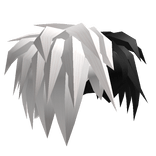 Black and White Hair