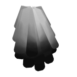 Black and White Tail Feathers