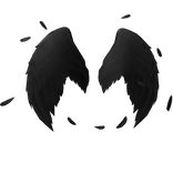Black angel wings