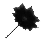 Black Blossom Parasol