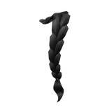 Black Braid Hair Extension (Front)