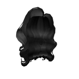 Black Curly Long Hair