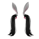 Black Double Ponytail