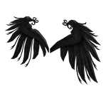 Black Eagle Wings