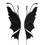 Black Enchanted Fairy WIngs