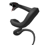 Black Giant Back Snake
