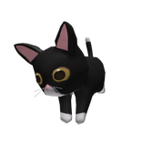 Black Kitty Covering your Eyes