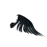 Black Metal Right Wing