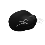 Black Nose Black Cat Snout 