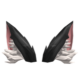 Black Pointy Fluffy Ears