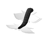 Black Raptor Tail