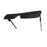 Black RG Glasses on Head