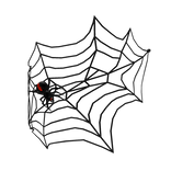 Black Spider Web Veil