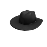 Black Stetson Cowboy Hat