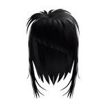 Black Straight Messy Emo Raccoon Hair