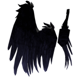 Black Warrior Wings