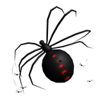 Black Widow