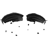 Black Wilted Rose Petal Wings