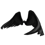 Black Wings