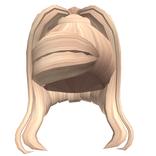 Blonde Aesthetic High Ponytail