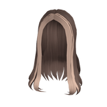 Blonde & Brown Straight Simplistic Hair