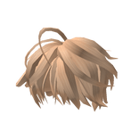 Blonde Dawn Hairstyle