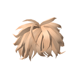 Blonde Messy Wavy Hair - Roblox  Messy wavy hair, Messy hair boy, Blonde hair  boy