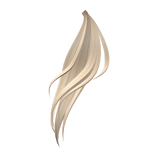 Blonde Ponytail Extension