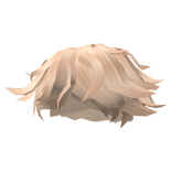 Blonde Wavy Messy Hair