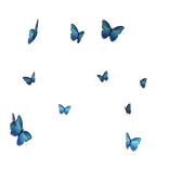 Blue Butterflies