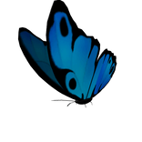 Blue Butterfly Pet