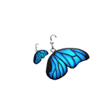Blue Butterfly Wing Earrings