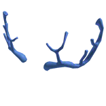 Blue Coral Antlers