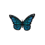 Blue Forehead Butterfly