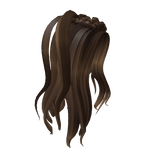 Boho Top Braids in Brown