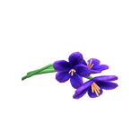 Bouquet Snack Purple