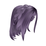 Braided Crown Updo - Purple