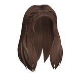 Braided Wavy Hair in Brown