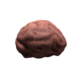 Brain Head