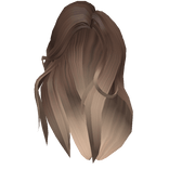 🎮 Brown & Blonde Celebrity Gamer Hair