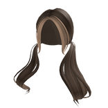 Brown & Blonde Low Pigtails