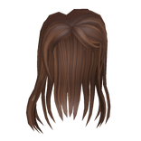 Brown Anime Girl Hair
