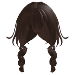 Brown Braided Hair (No Dog Ears)